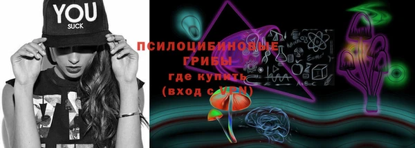 хмурый Дмитриев
