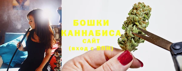 мдпв Ельня