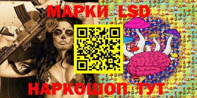молекула духа Кингисепп