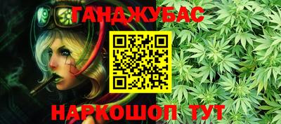 молекула духа Кингисепп