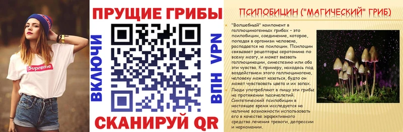 купить наркотики сайты  blacksprut как войти  Псилоцибиновые грибы ЛСД  Кизилюрт 