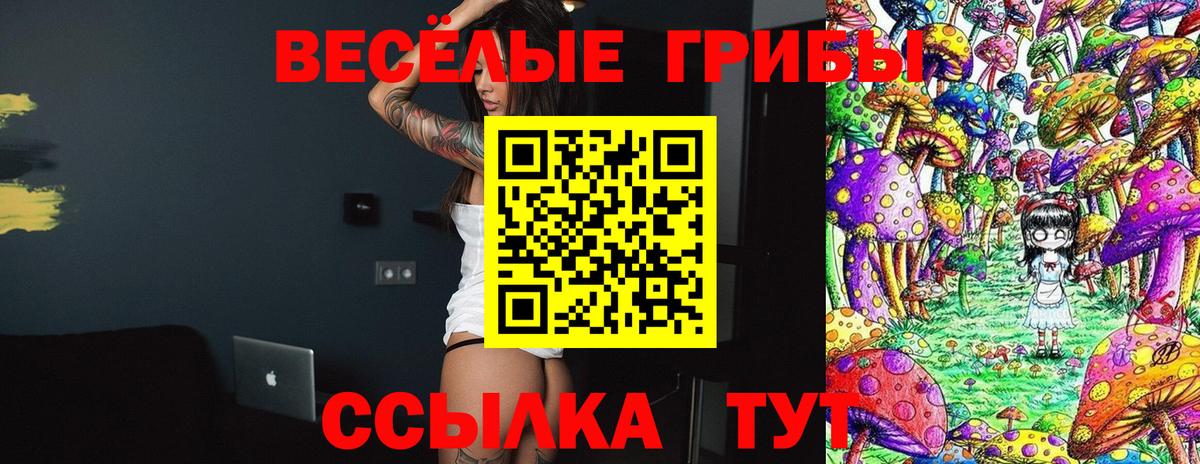 Галлюциногенные грибы Psilocybe  что такое наркотик  Кизилюрт  Вход с VPN 